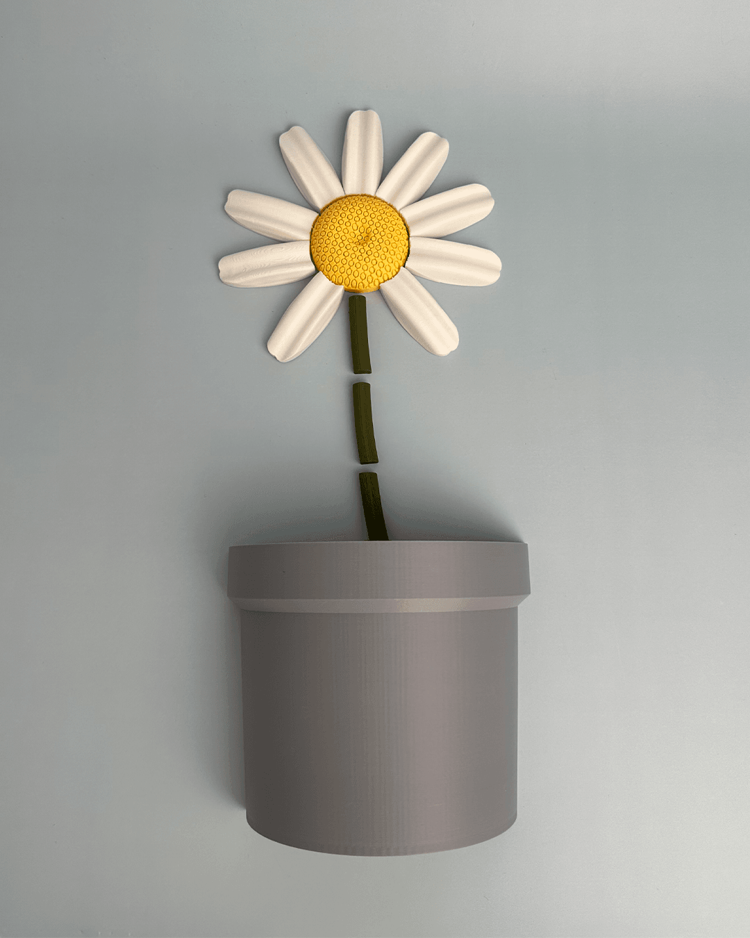 Daisy Magnet Pot 3d model