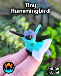 Tiny Hummingbird 3d model