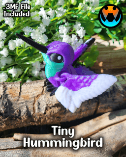 Tiny Hummingbird 3d model