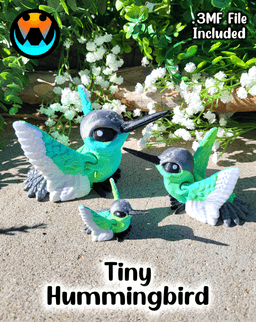 Tiny Hummingbird 3d model