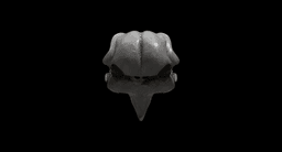 Khonshu Skull Helmet or Sculpture 3d model