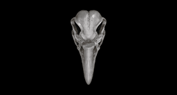 Khonshu Skull Helmet or Sculpture 3d model