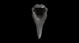 Khonshu Skull Helmet or Sculpture 3d model