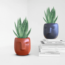 Face Planter, 3D Head Plant Pot, Minimalist Cute Flower Pot, Bohemian Vase, 3D Vase Print Files, Spe 3d model