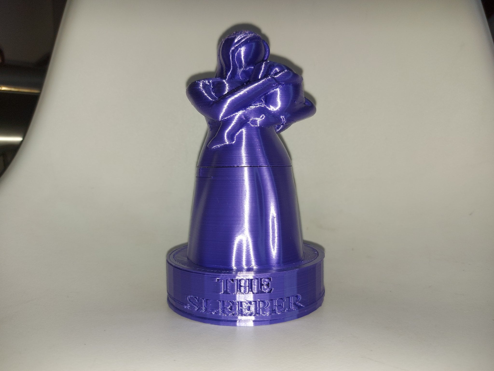 #CCTMothersDayRemix The Sleeper - from the front - 3d model