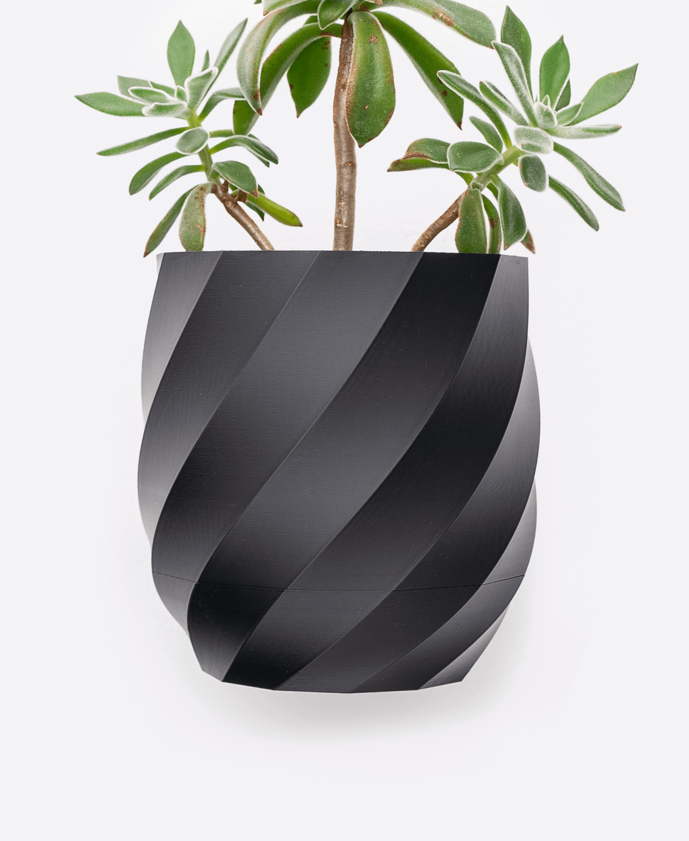 Twisted Planter 3d model