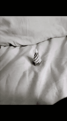 Spiral Fidgets 3d model