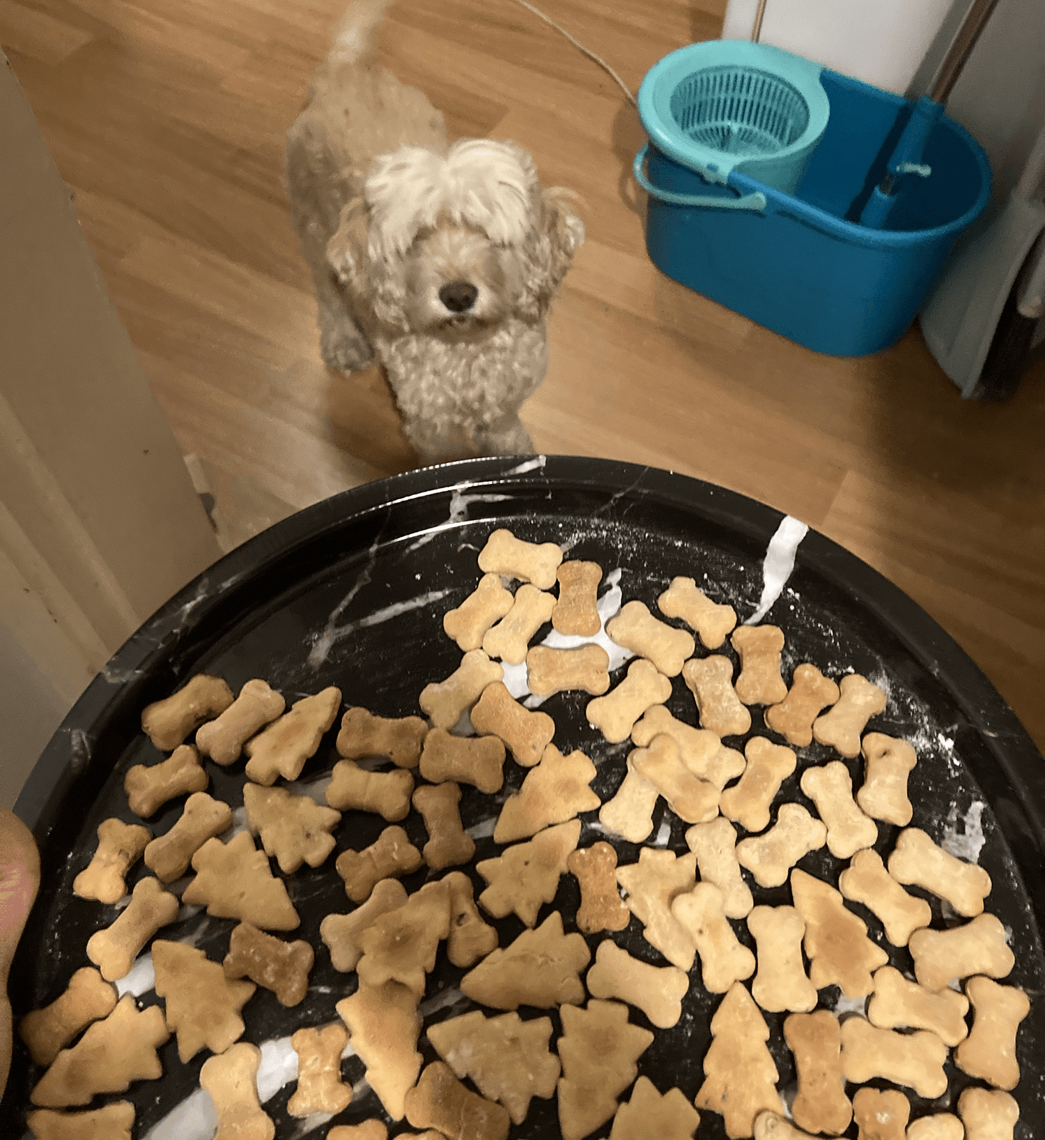 Bone Cookie cutter V1 3d model