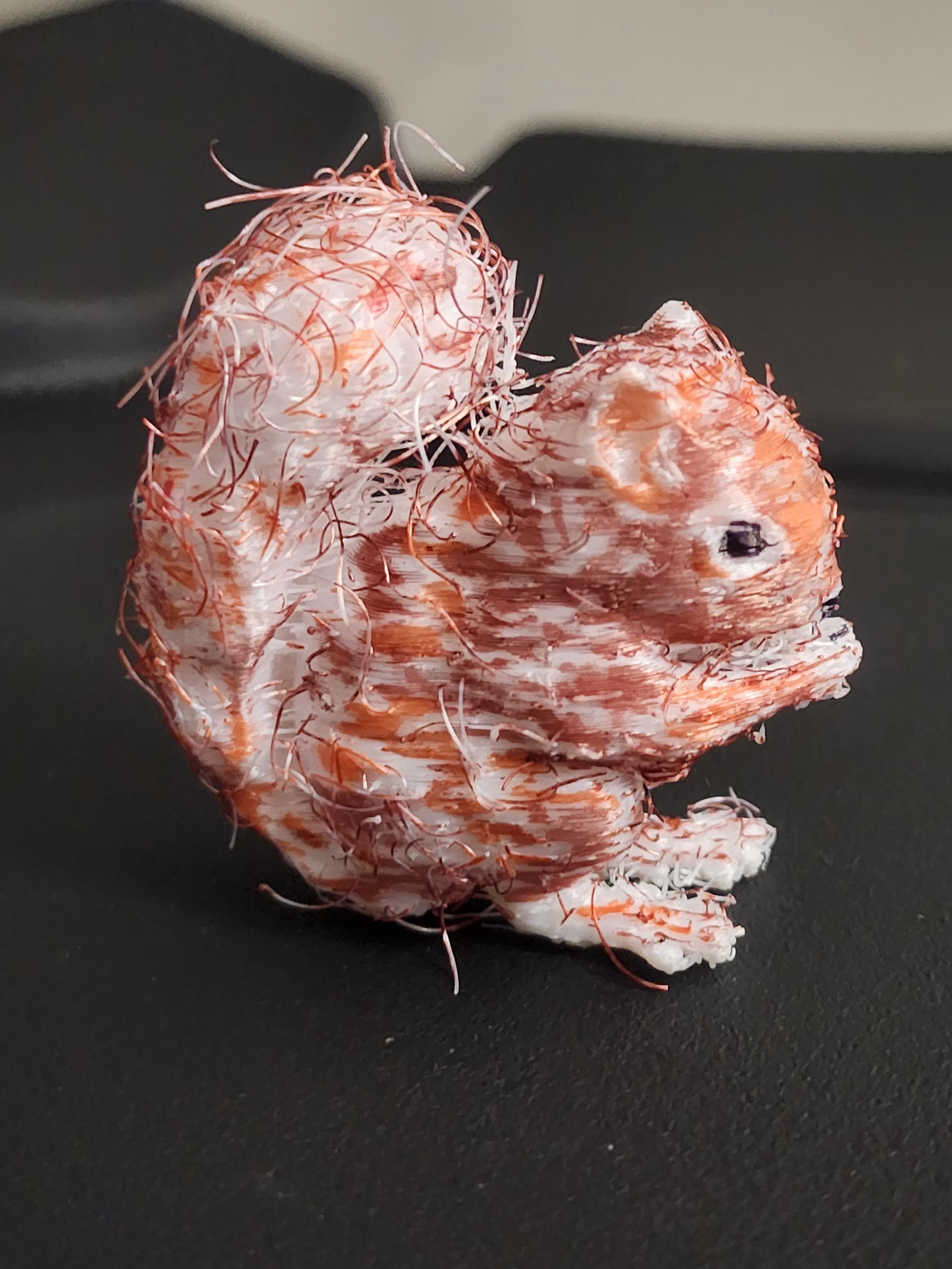 Hairify Squirrel 3d model