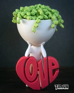 ROBERT PLANT WITH A LOVE HEART 3d model