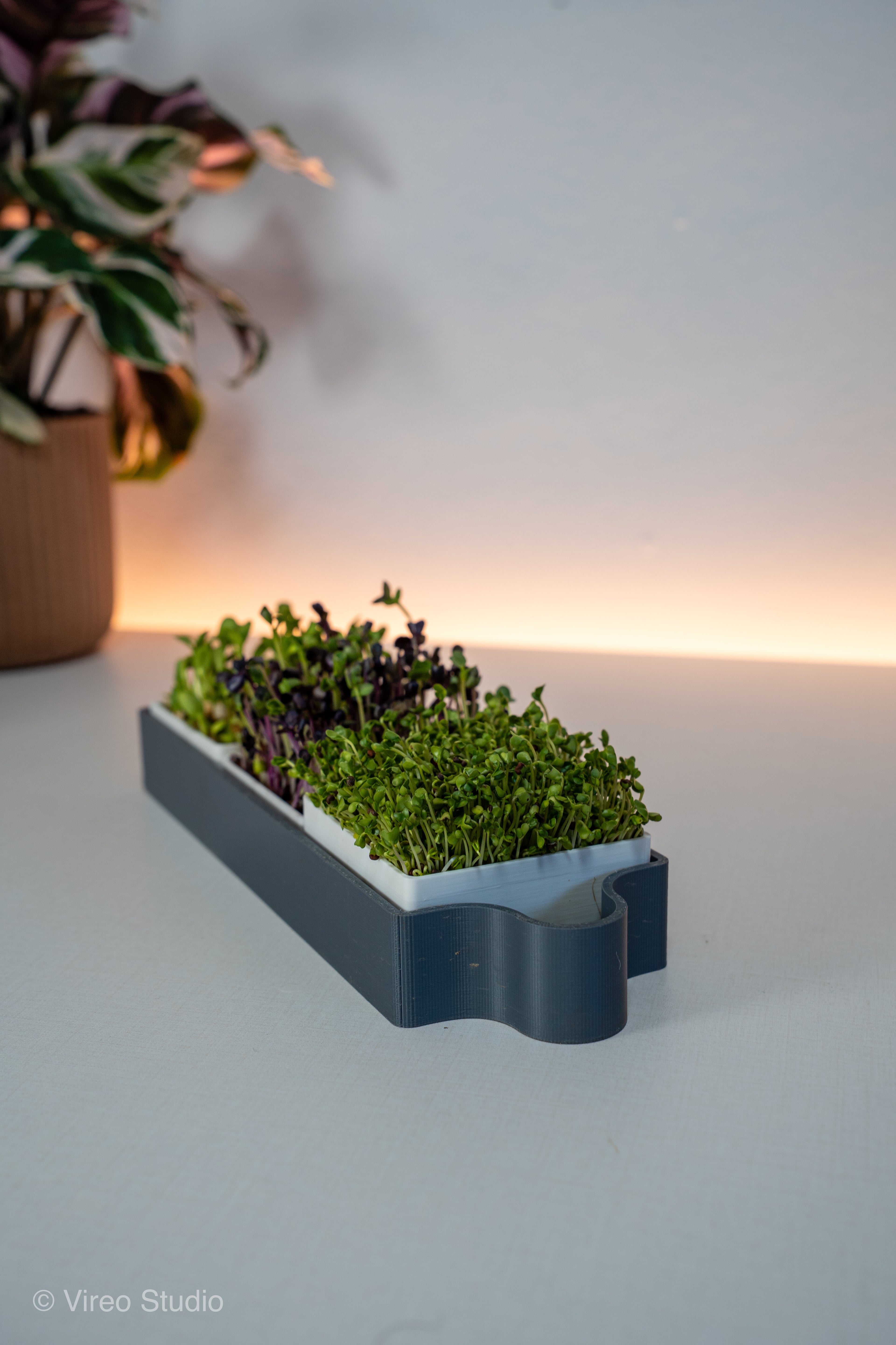 GreensMate | Modular Microgreens Self Watering System 3d model
