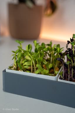 GreensMate | Modular Microgreens Self Watering System 3d model