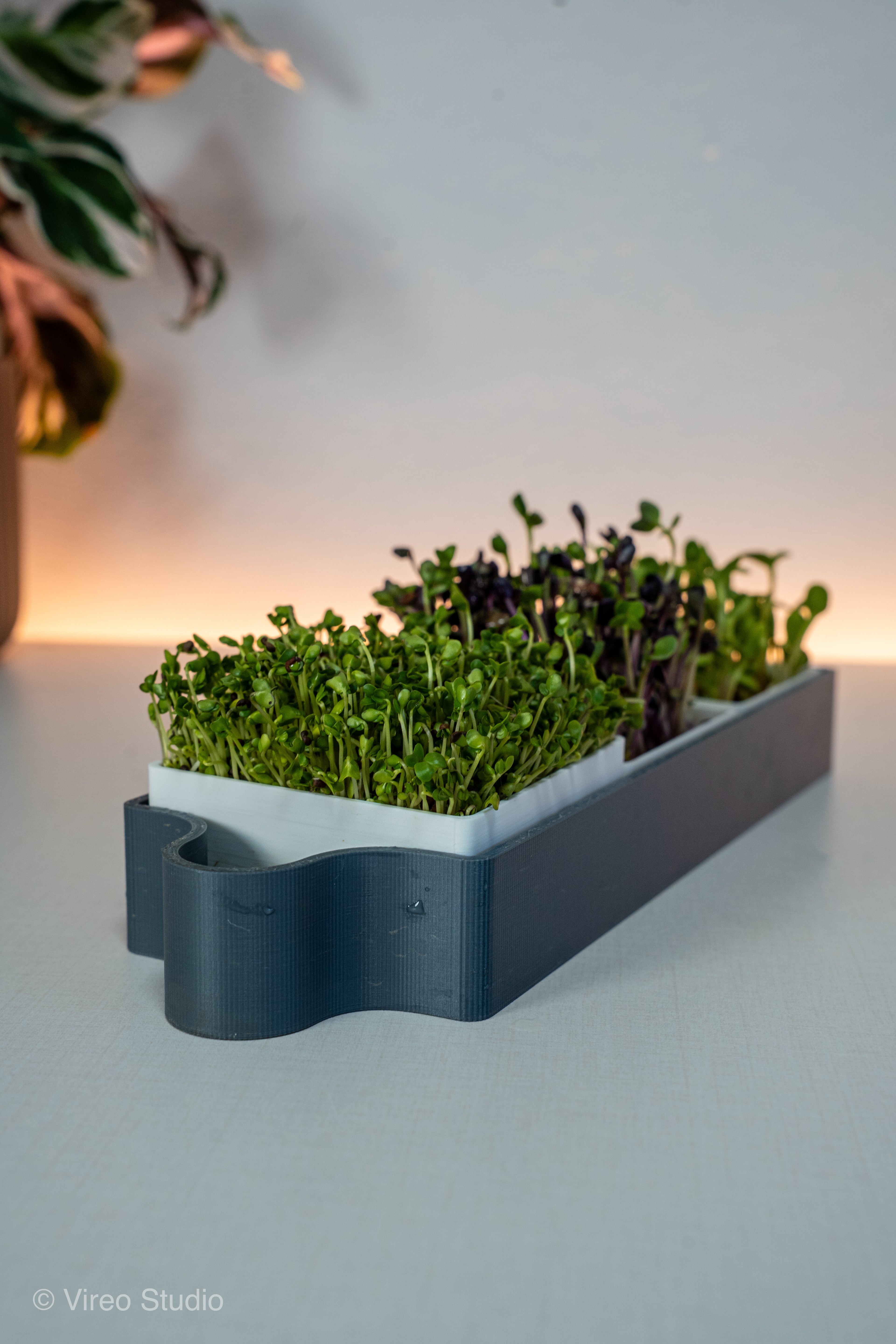 GreensMate | Modular Microgreens Self Watering System 3d model