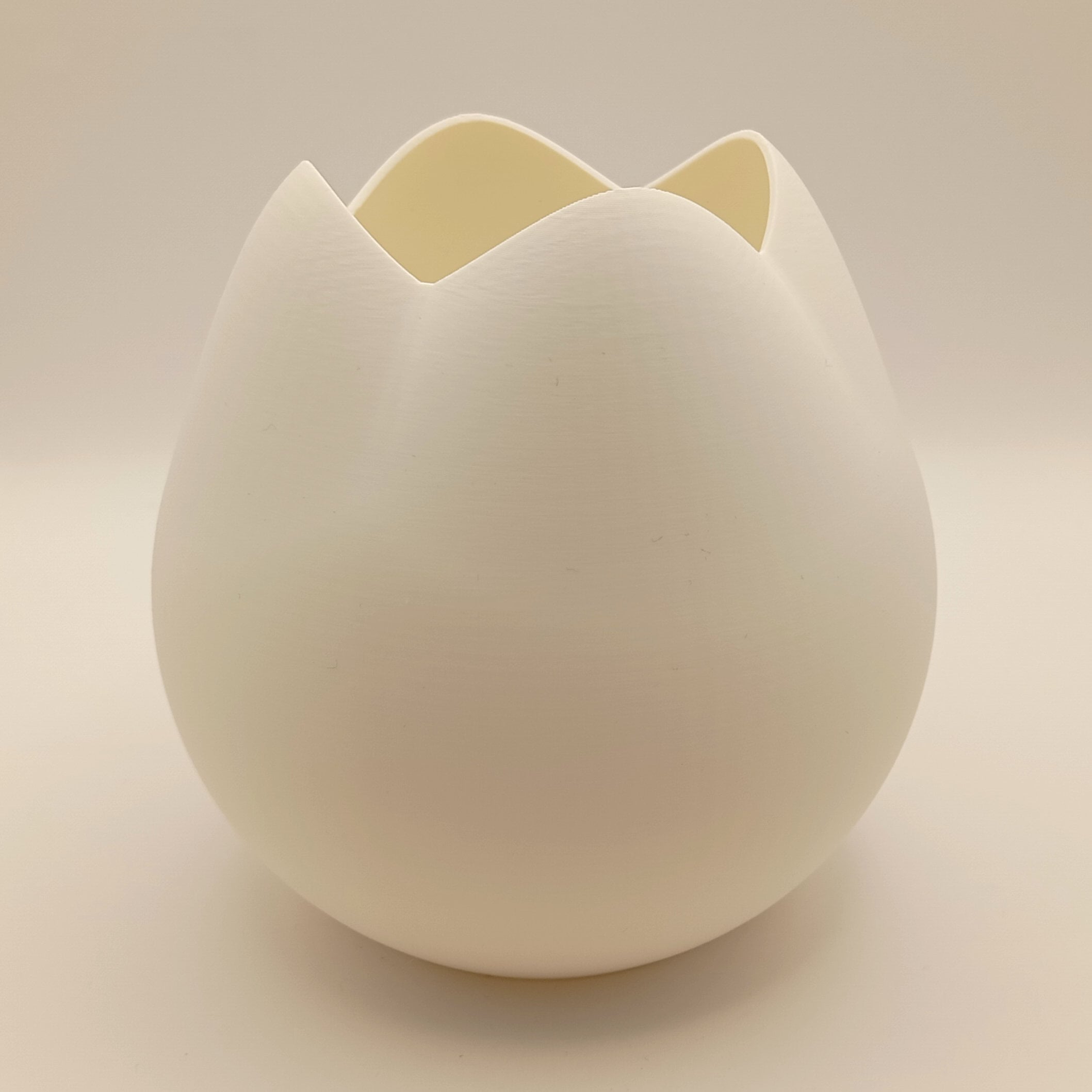 Abat-Jour Tulipe Éclatante 3d model