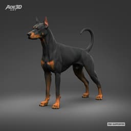 Doberman Pinscher Cropped Ears Natural Tail 3D Print Pose 01 3d model
