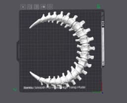 Spinal Moon Wall Decoration - 2 Hour Print 3d model