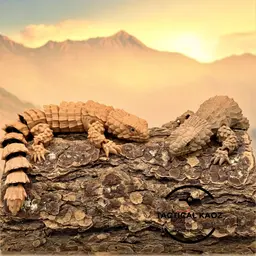 Articulated Armadillo Girdled Lizards | Pre-Painted + Optional 6mm Glass Eye Version 3d model