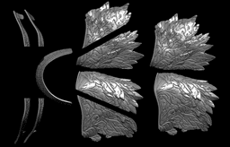 VARGRAM THE RAGING WOLF ARMOR SET life size cosplay - Elden Ring Fan Art 3d model