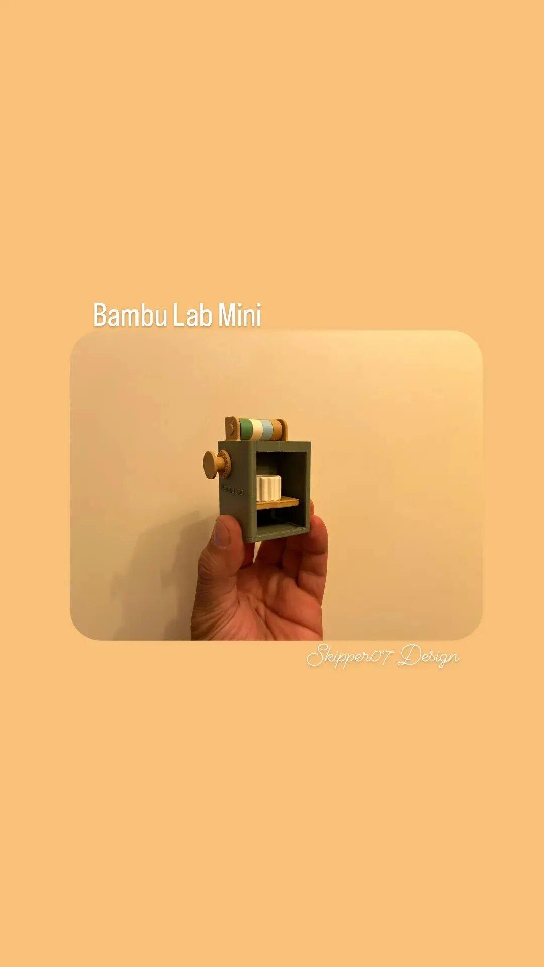 Bambu Lab mini 3d model
