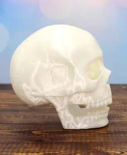 Spooky Skull Halloween decor 3d model