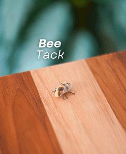 Office Bugs | Bee Tack, Leaf Bug Bookmark, Stick Bug Pen, Lady Bug Magnet 3d model