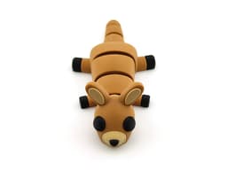 Kangaroo 3d model