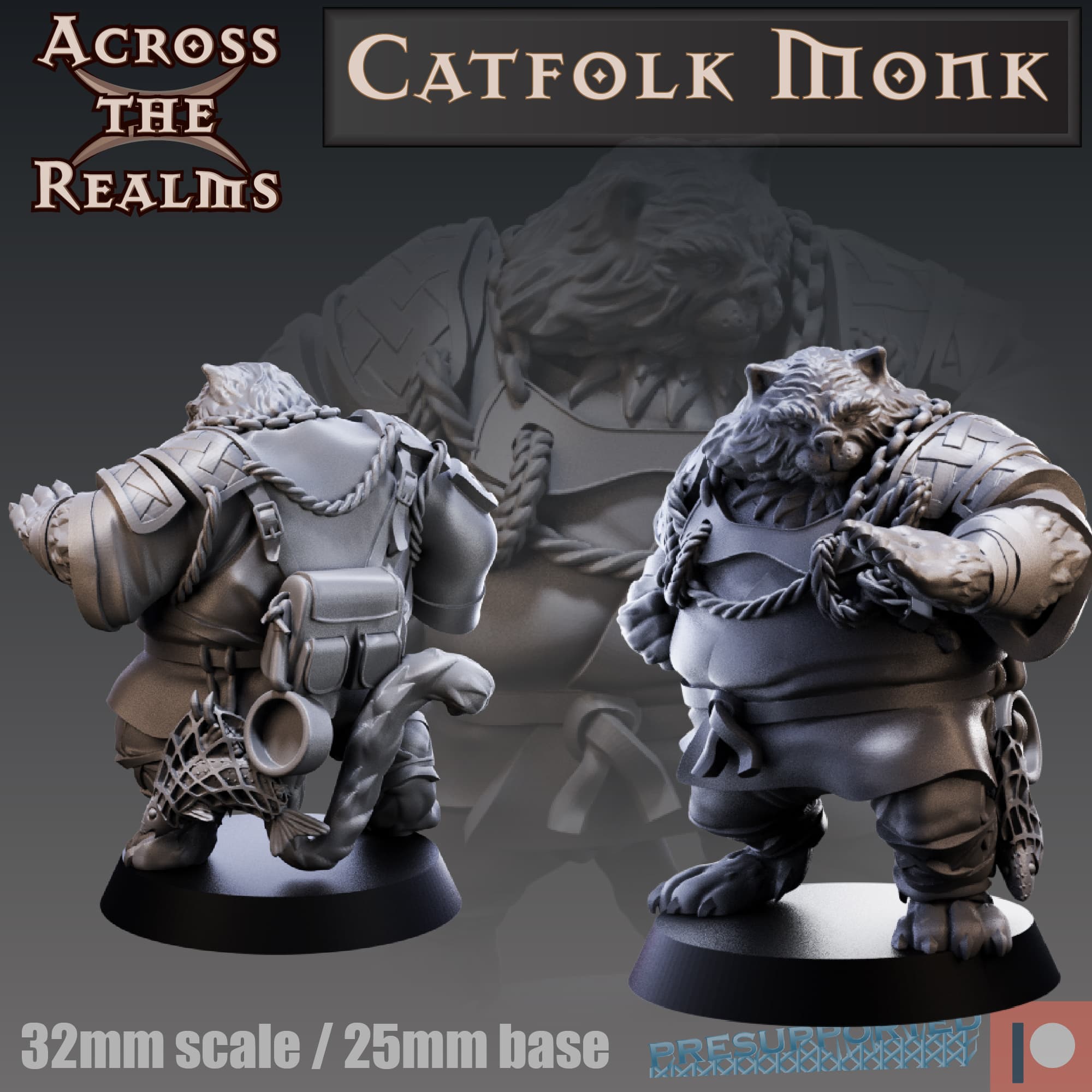 Catfolk Monk 3d model