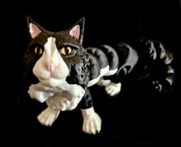 Maine Coon Cat (Commercial Use) 3d model