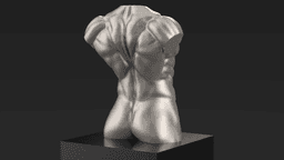 Male Torso Statue 3d model