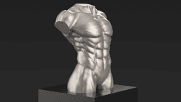 Male Torso Statue 3d model