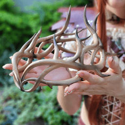 Regal Antler Crown 3D Print Model for Cosplay & Home Decoration 3d model
