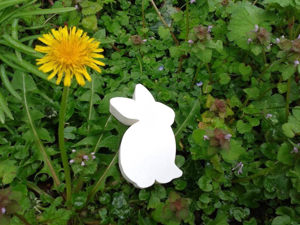 Rabbit 00A8, nestable box (v2) #SpringThangs 3d model