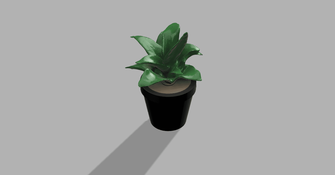 Plant in a pot 3d model