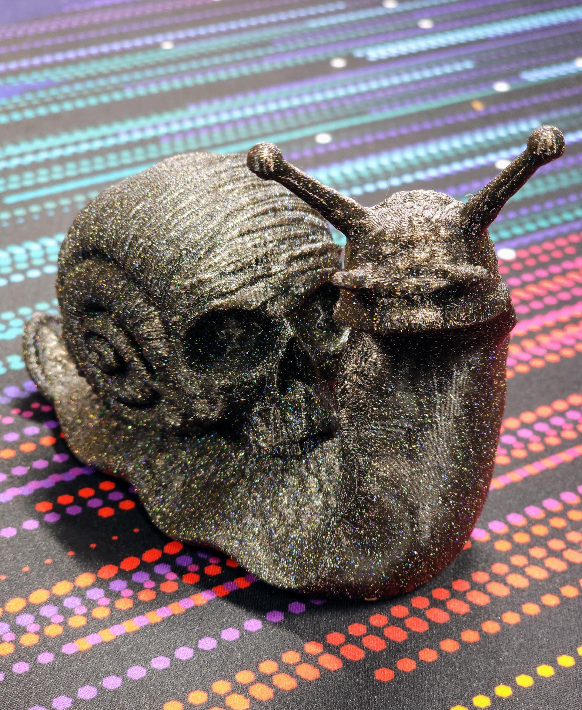 Skull Snail  3d model