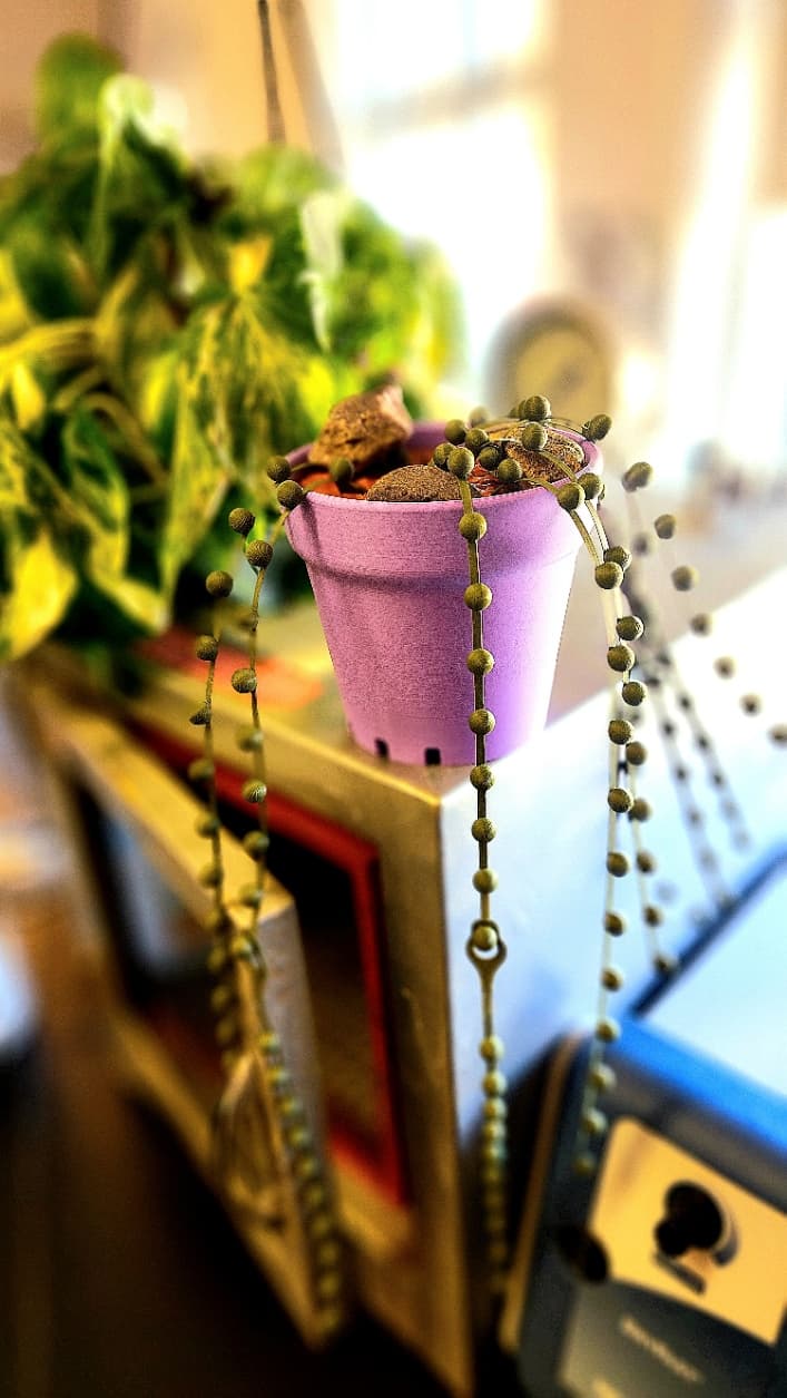 A lovely make! I was just thinking about how much I would love some cable ties and turns out I just had to wait a few hours! I love how the purple stands out with the green!