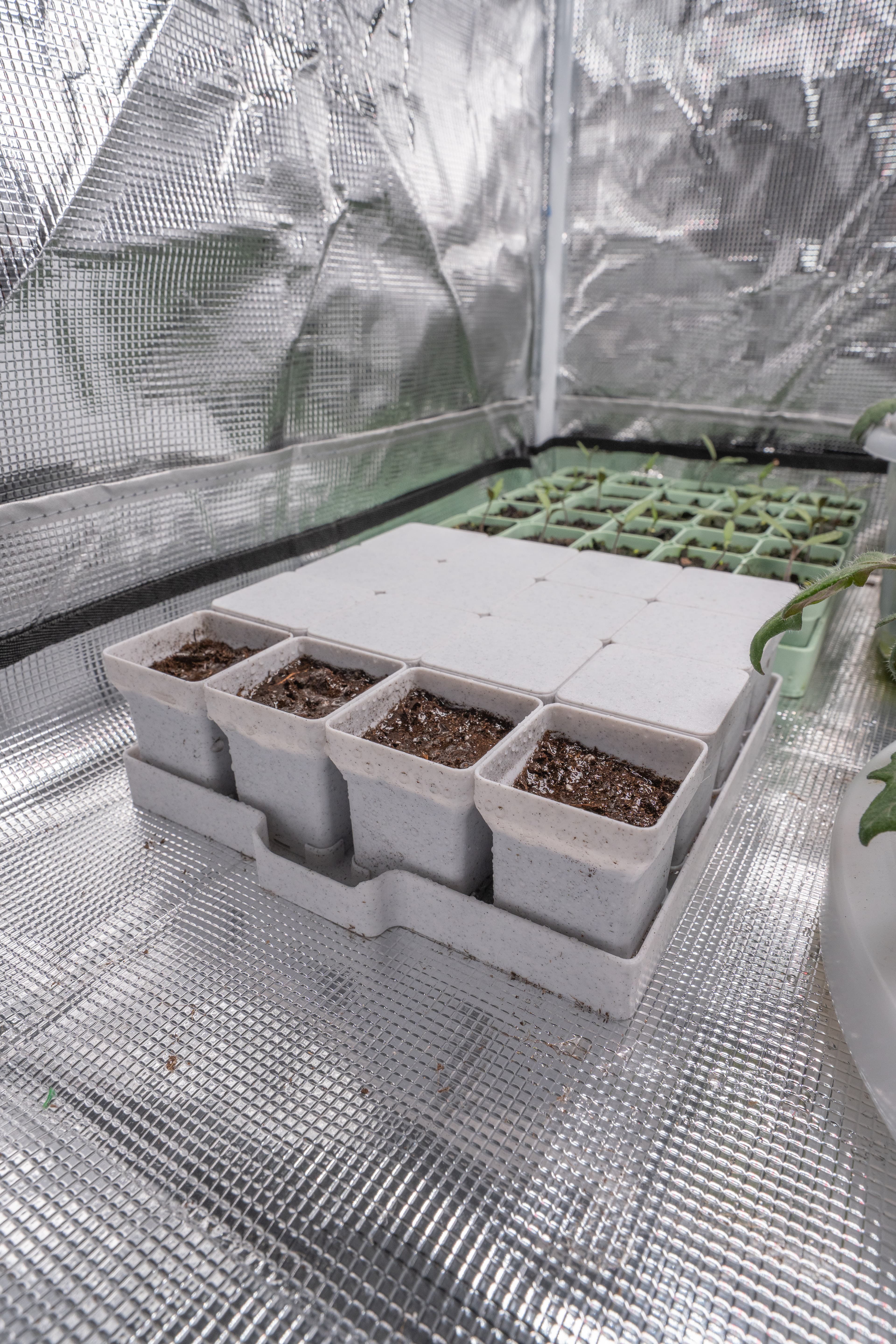 Seed starting system - 4x4 pots with lid 3d model