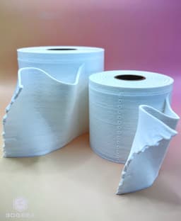 Toilet Paper Secret Stash 3d model