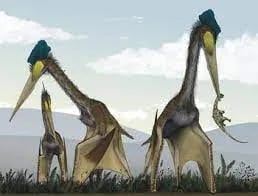 quetzalcoatlus 3d model