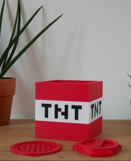 TNT Block Vase – Minecraft Edition 3d model