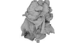 Clothbound Sentinel 3d model
