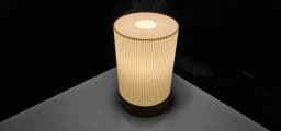 Velora Glow, Soft Elegance Meets Radiant Light 3d model