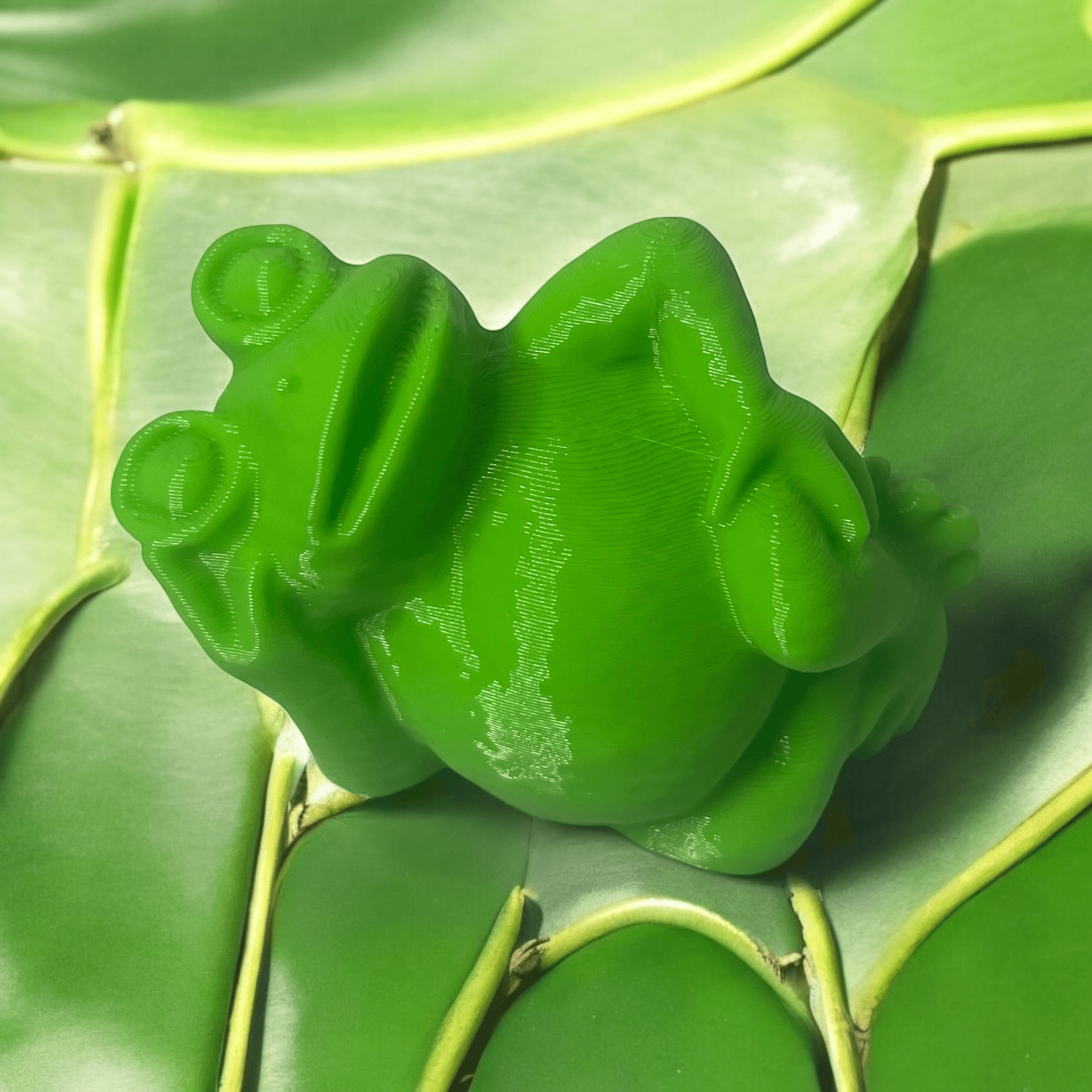 Frog cool 3d model