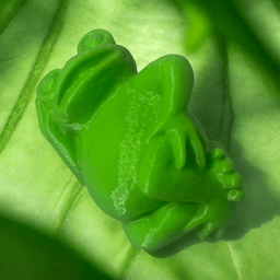 Frog cool 3d model