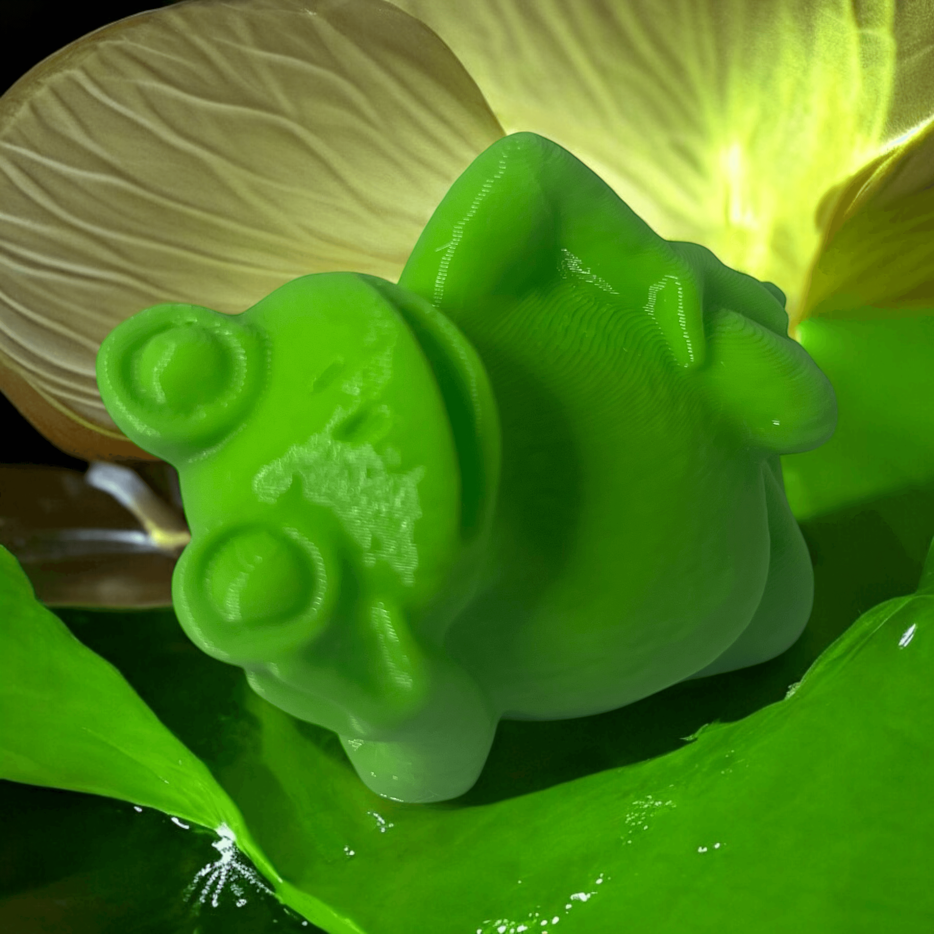 Frog cool 3d model