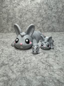 Bunny Booty Flexi 3d model