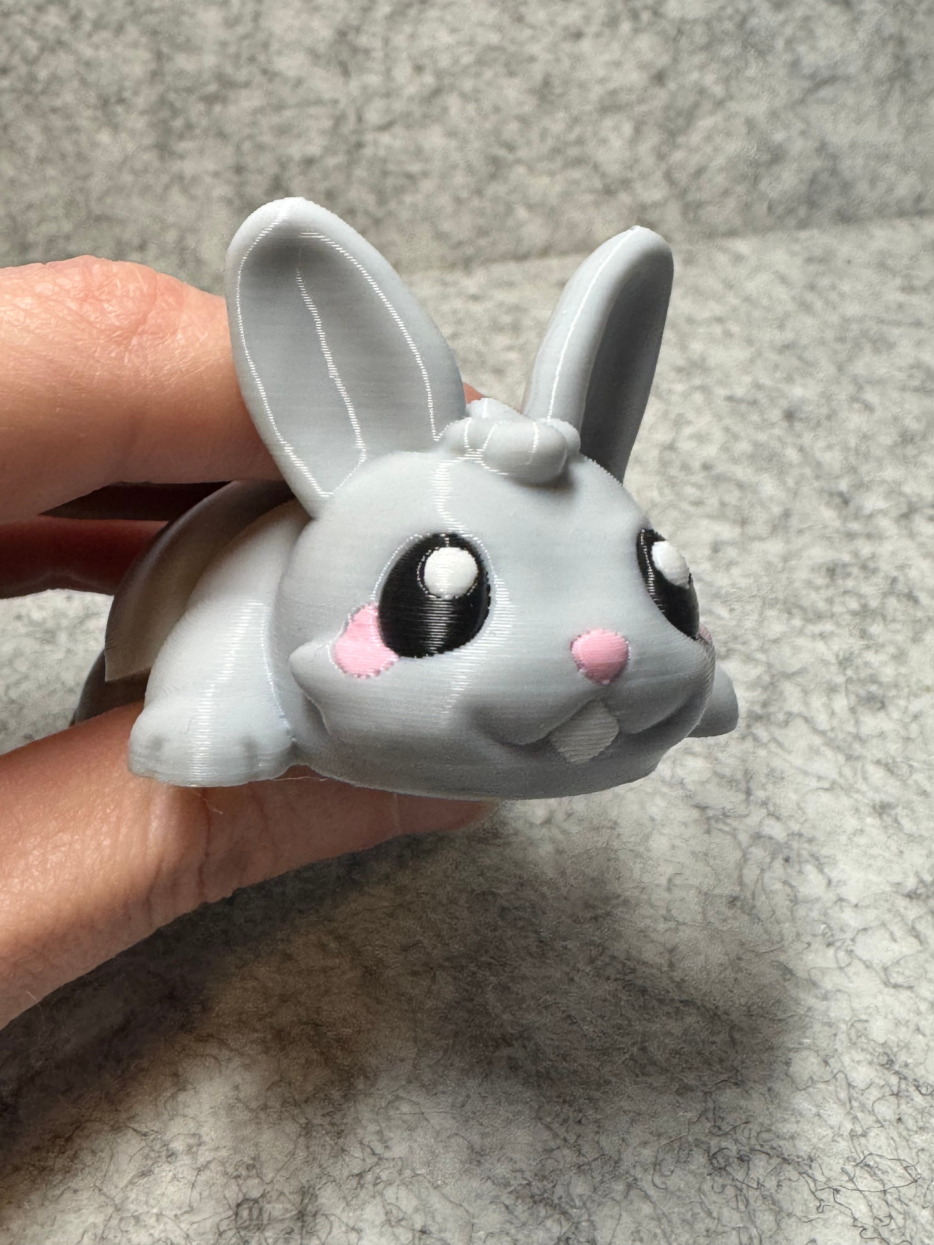 Bunny Booty Flexi 3d model