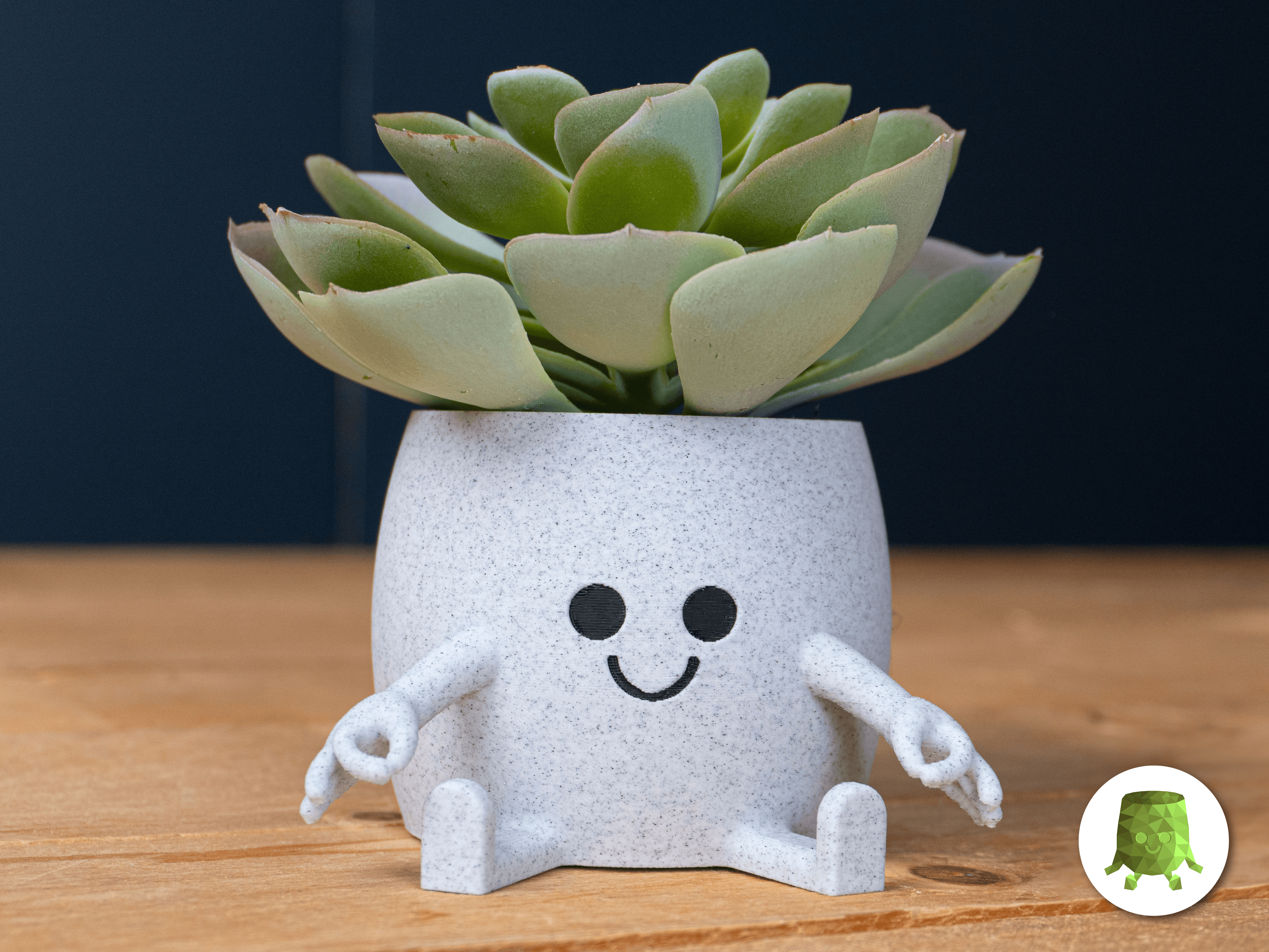 Gotcha Hands Sitting Pot.stl 3d model