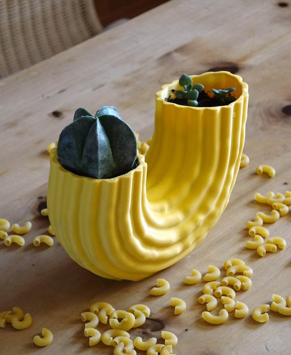 Pasta Planter Macaroni 3d model
