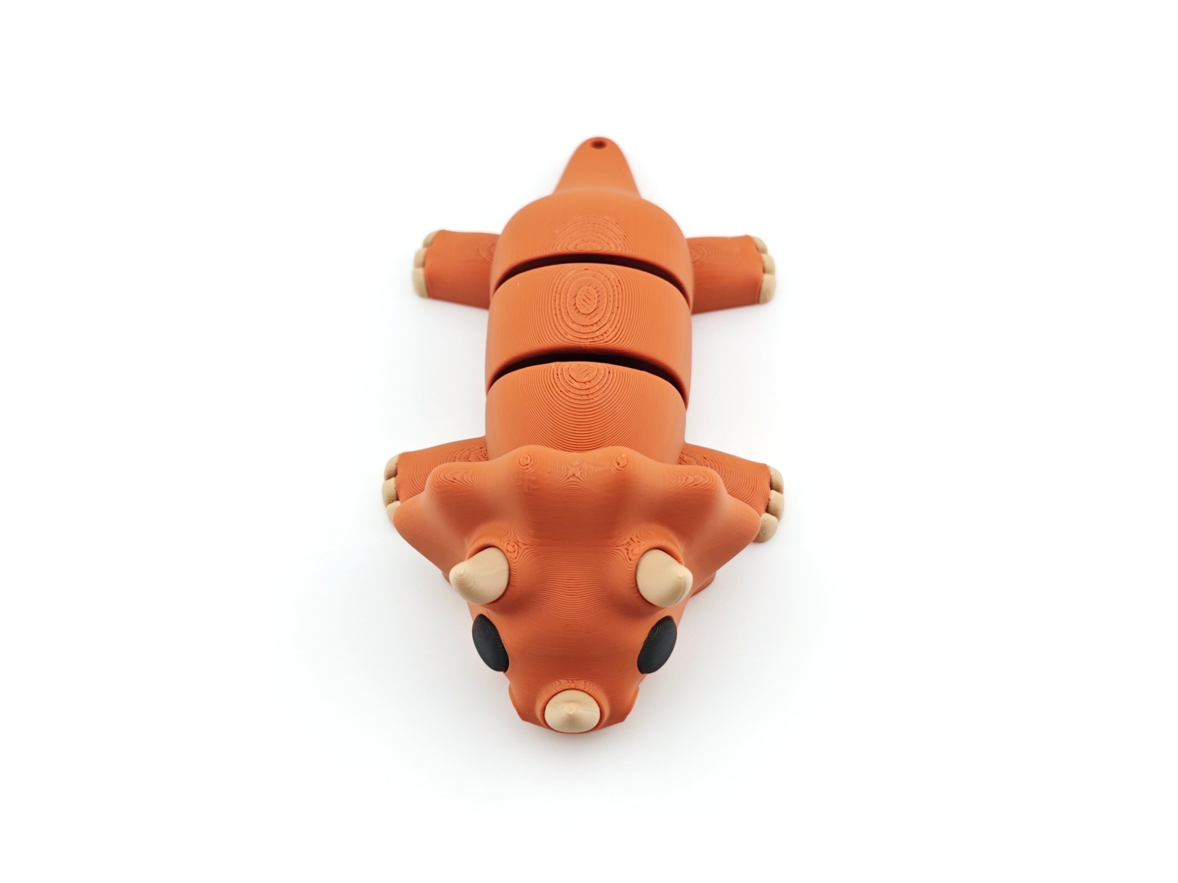 Triceratops 3d model