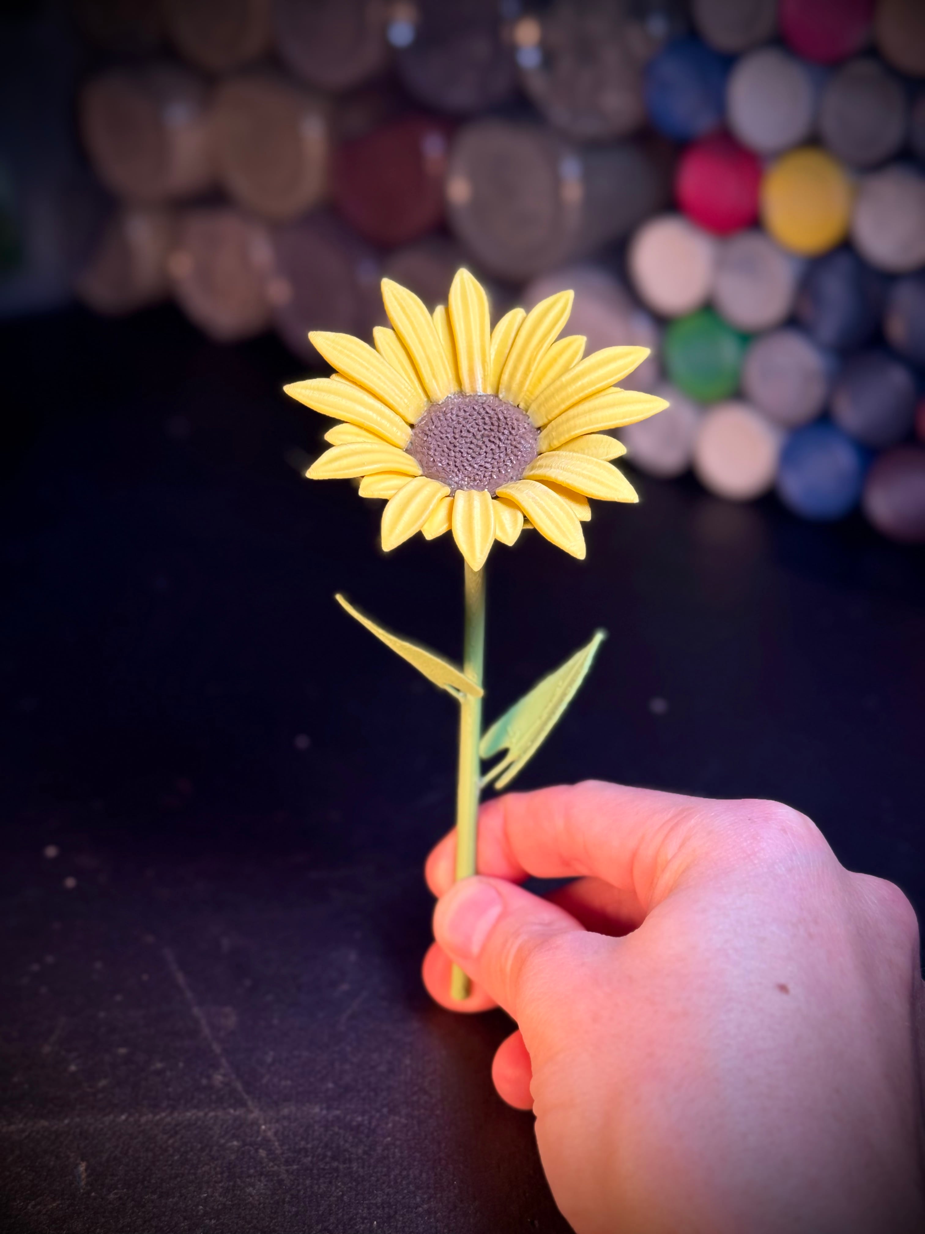 Sunflower 3d model